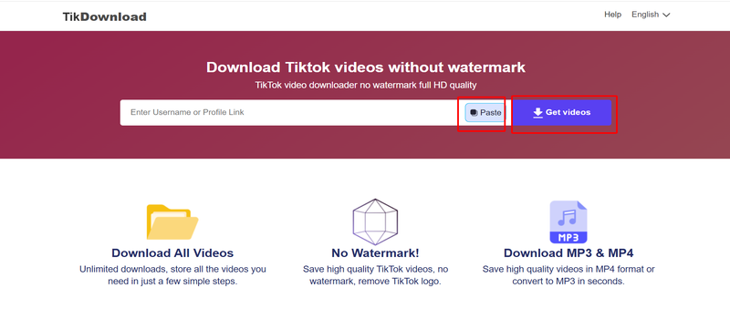 enter tiktok username